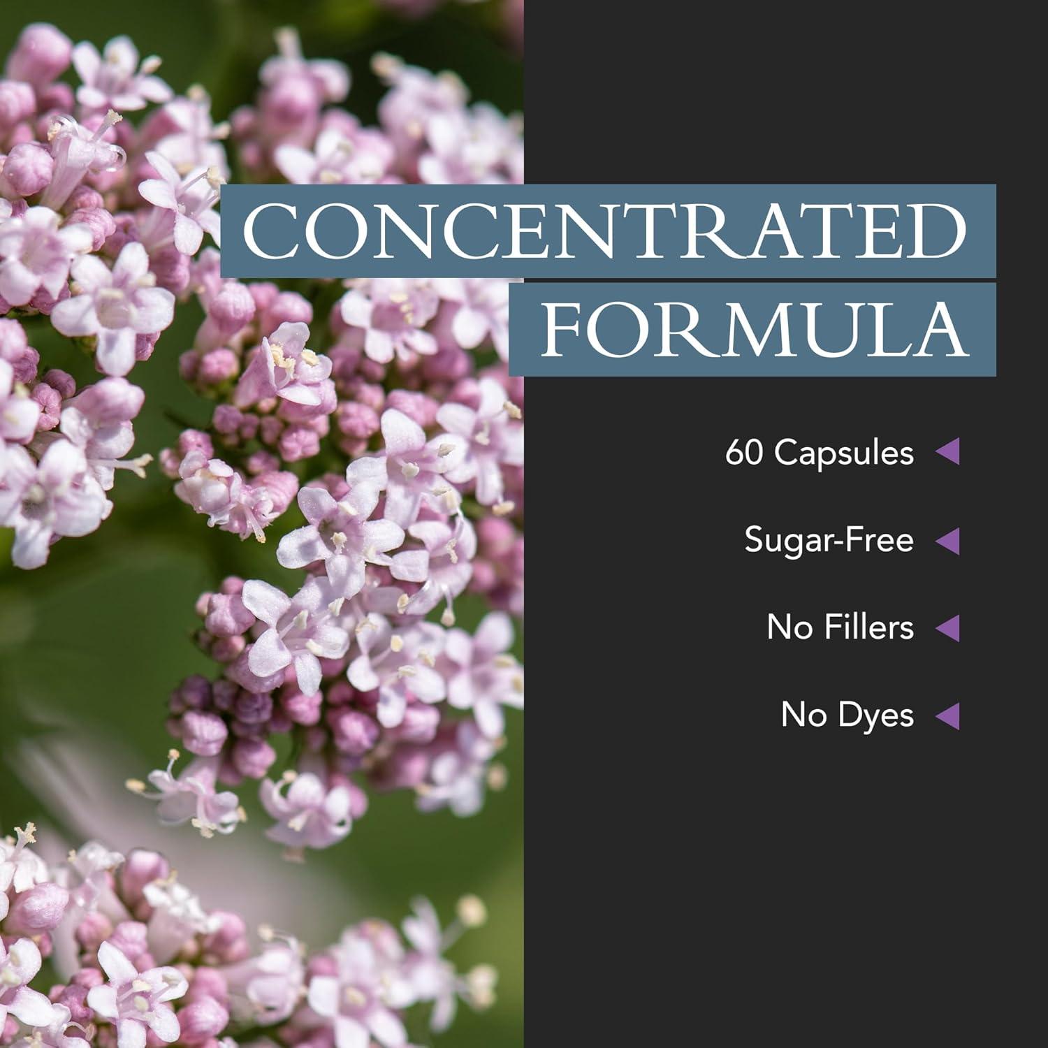 Suplemento Herbal para el Sueño Xtravit - 60 Cápsulas