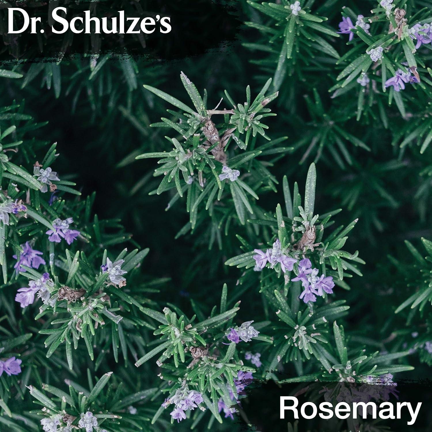 Fórmula Cerebral Dr. Schulze 60 ml - Vegana, Ginkgo Biloba