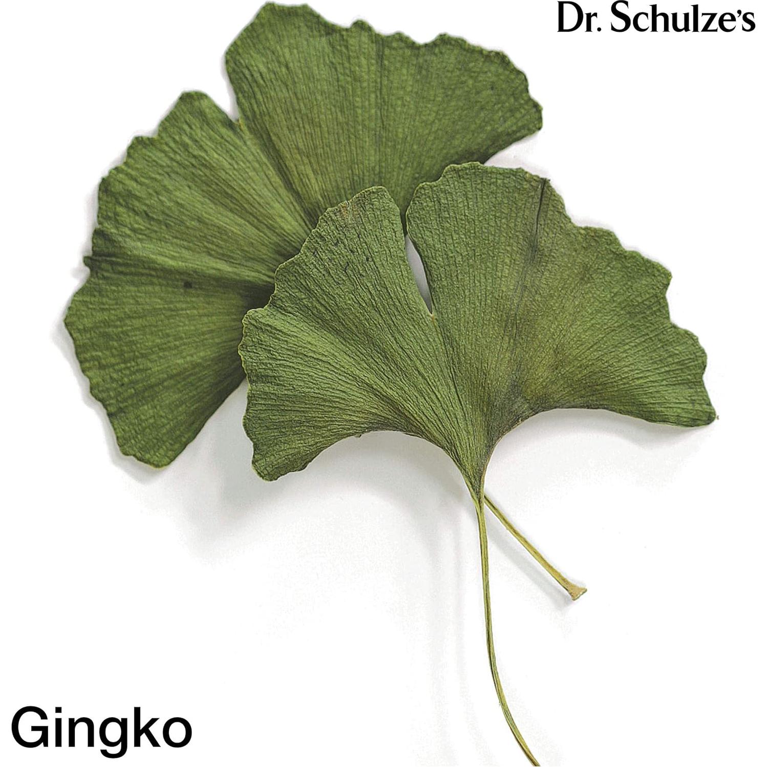 Fórmula Cerebral Dr. Schulze 60 ml - Vegana, Ginkgo Biloba