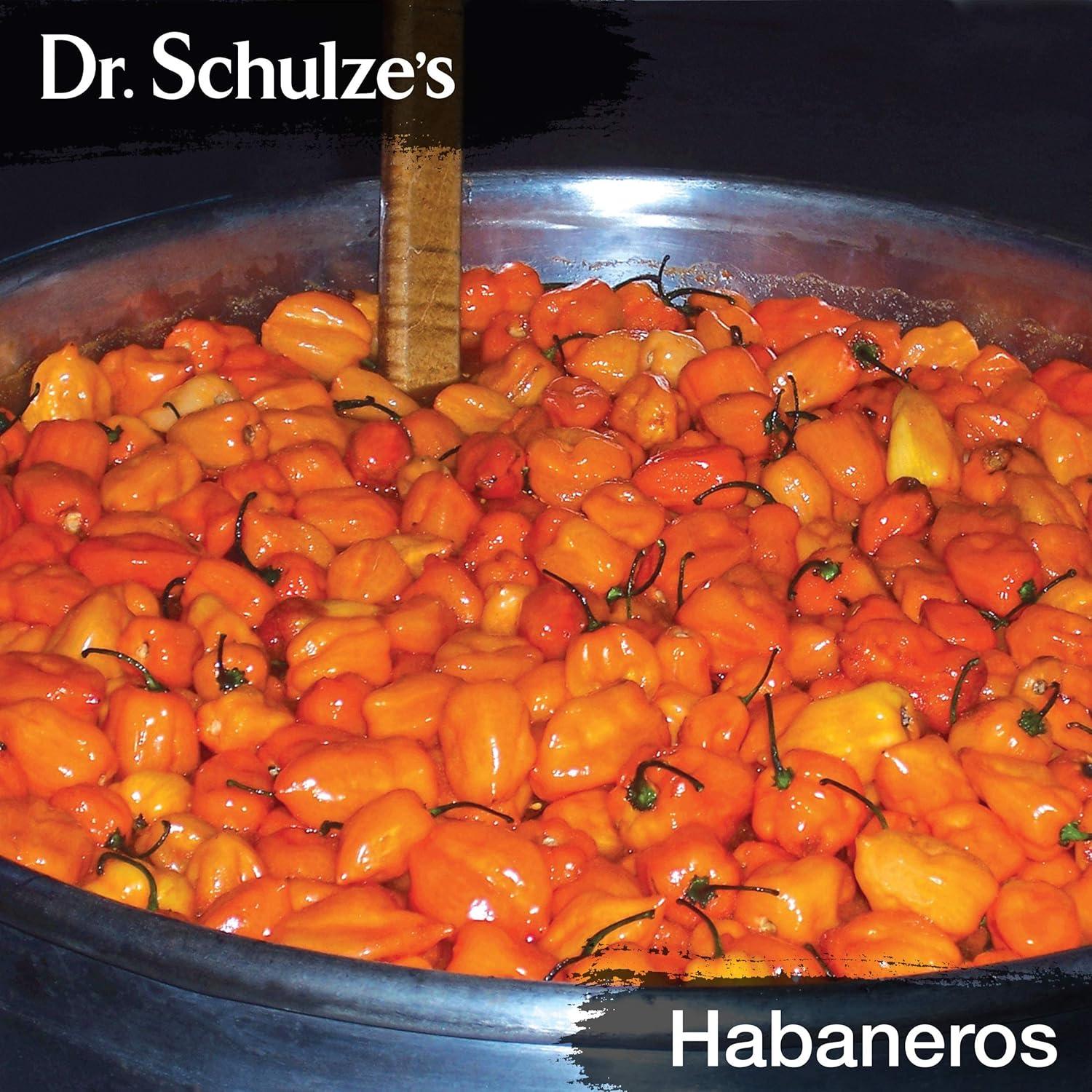 Fórmula Cerebral Dr. Schulze 60 ml - Vegana, Ginkgo Biloba