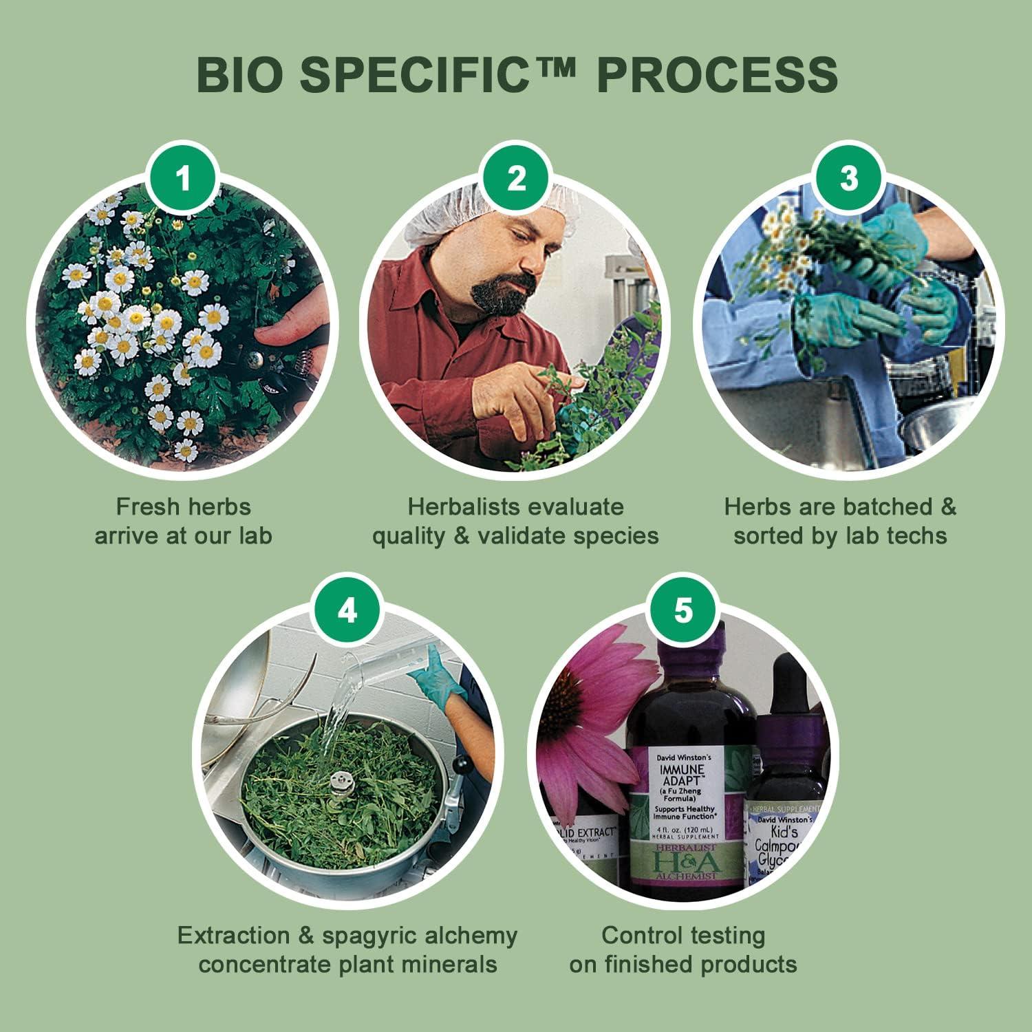 Suplemento Herbal Phytocalm David Winston 59.15 ml - Sueño Reparador