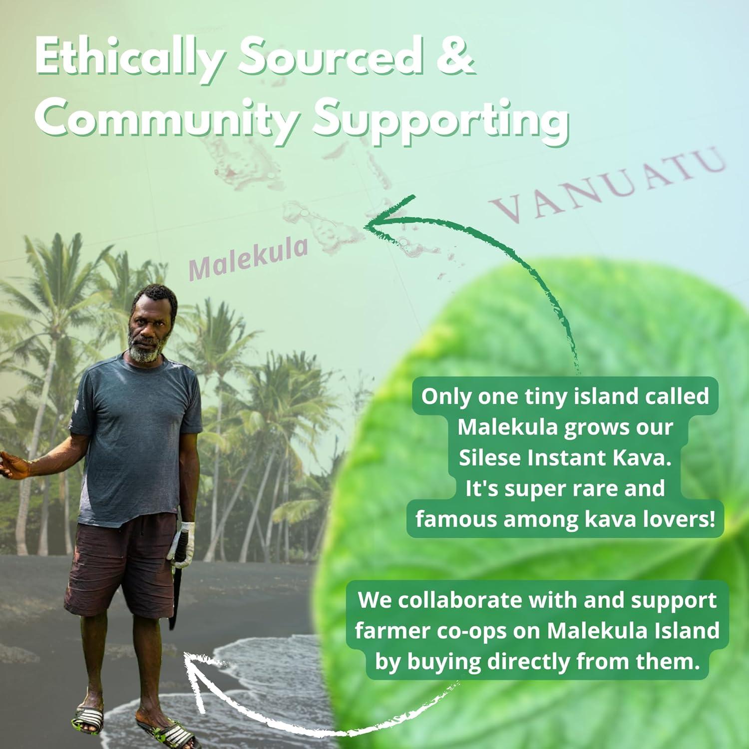 Polvo de Té de Kava Instantáneo Silese - La Mano Negra - 24.9g