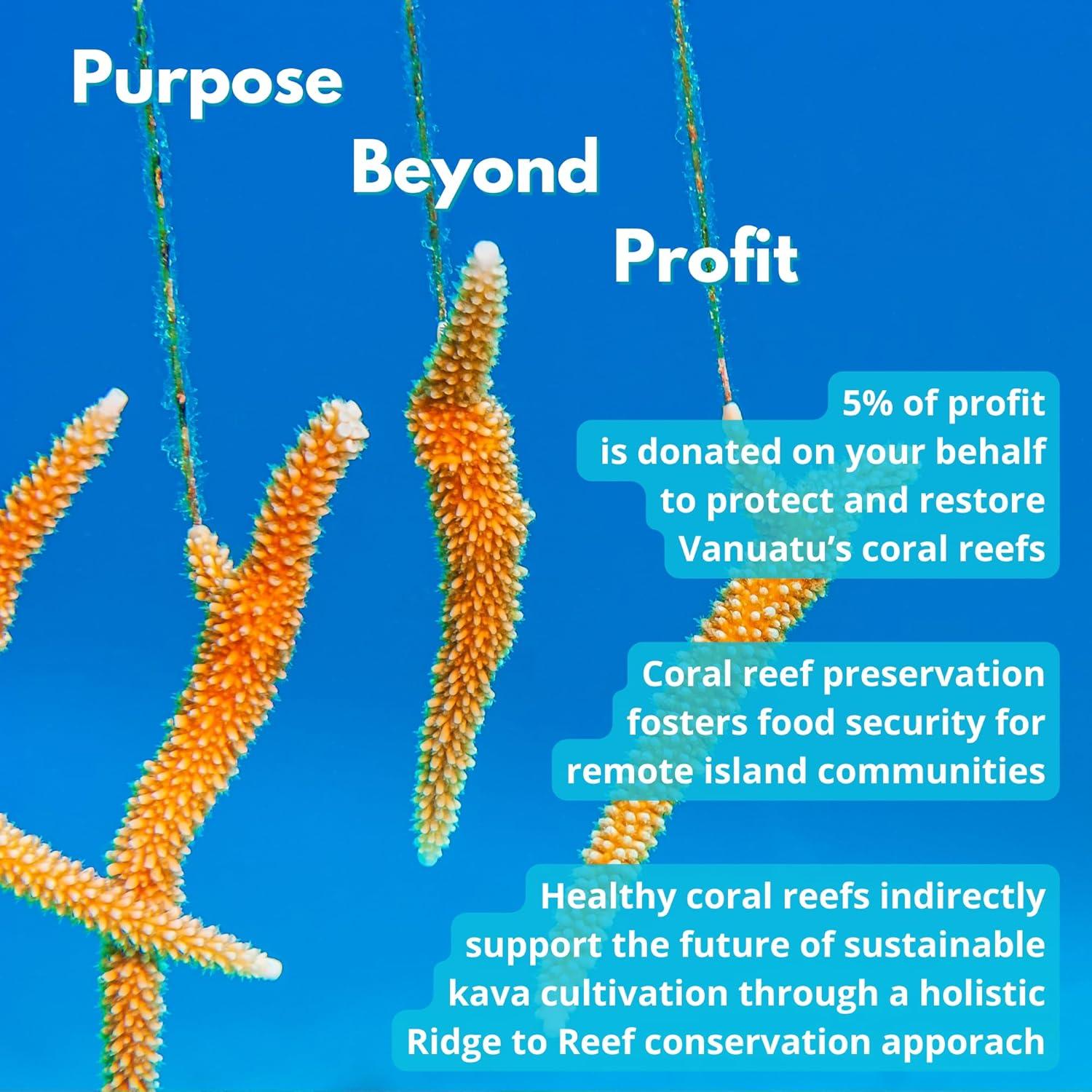 Polvo de Té de Kava Instantáneo Silese - La Mano Negra - 24.9g