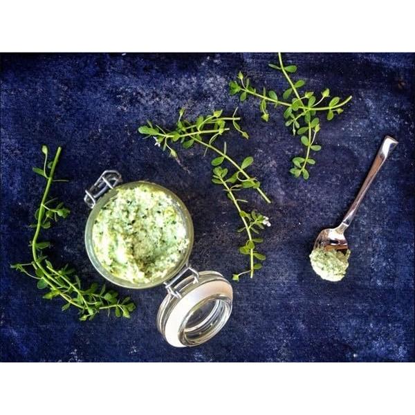 Polvo de Bacopa Monnieri Bodi 453.6g 100% Puro Natural