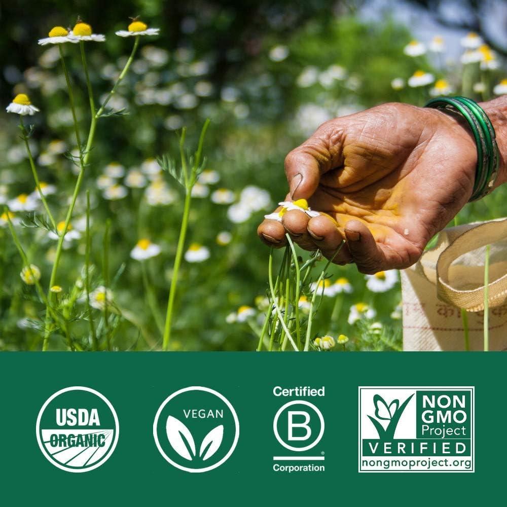 Suplemento Herbal Organic India Memory 90 Cápsulas Veganas