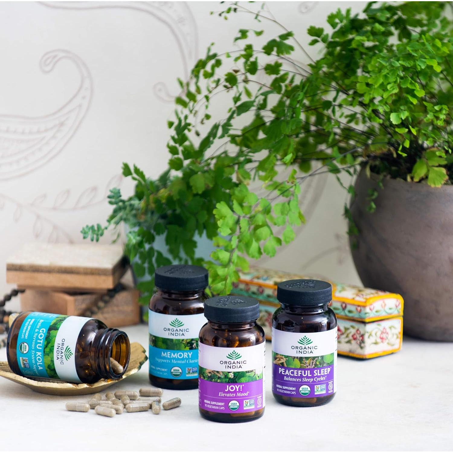 Suplemento Herbal Organic India Memory 90 Cápsulas Veganas