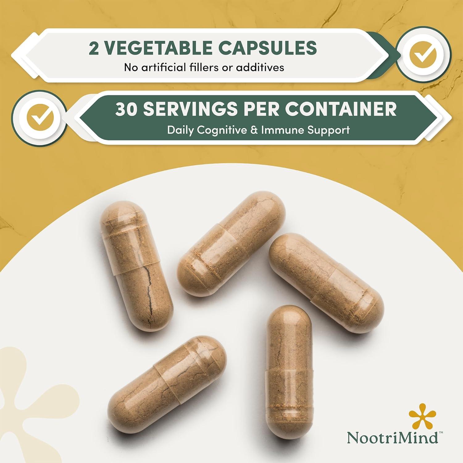 Complejo de Hongos Fit Vital Mind 60 Cápsulas - Melena de León, Reishi, Cordyceps, Inmunidad y Memoria