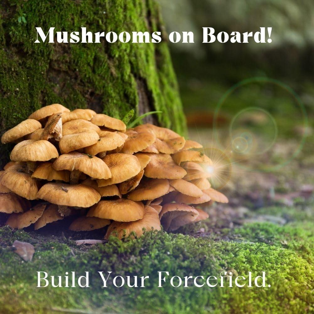 Cápsulas de Hongos Urban Moonshine 60ct - Inmunidad Orgánica