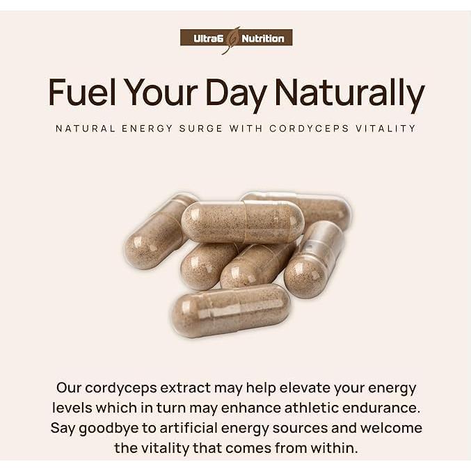 Cápsulas de Melena de León Ultra6 Nutrition - 90 Unidades