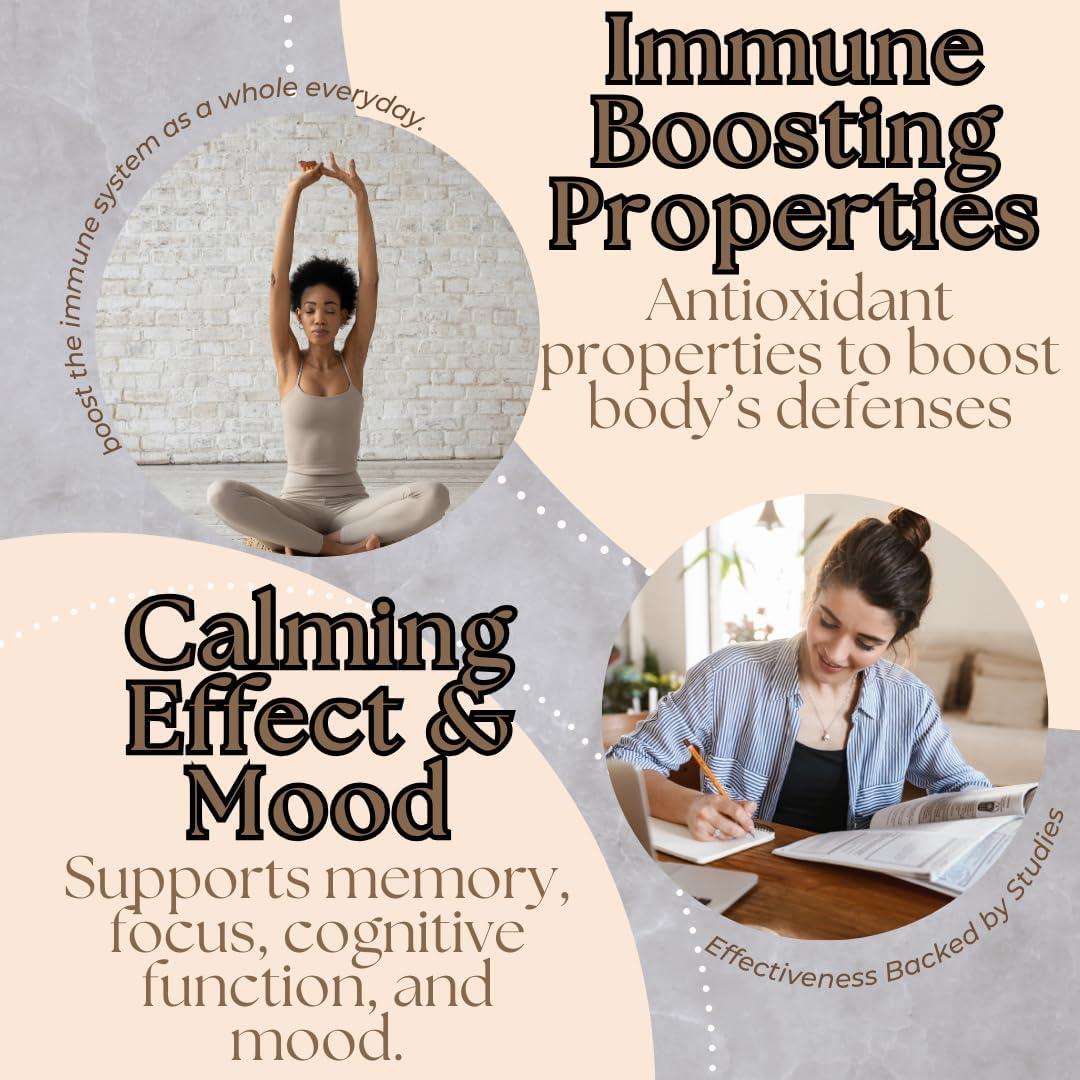 Cápsulas de Melena de León Orgánica Research Labs - 240 Unidades