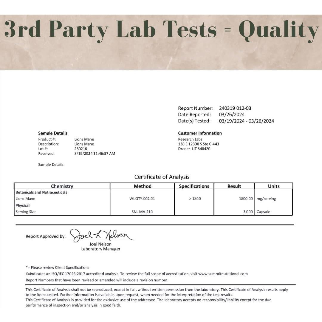 Cápsulas de Melena de León Orgánica Research Labs - 240 Unidades