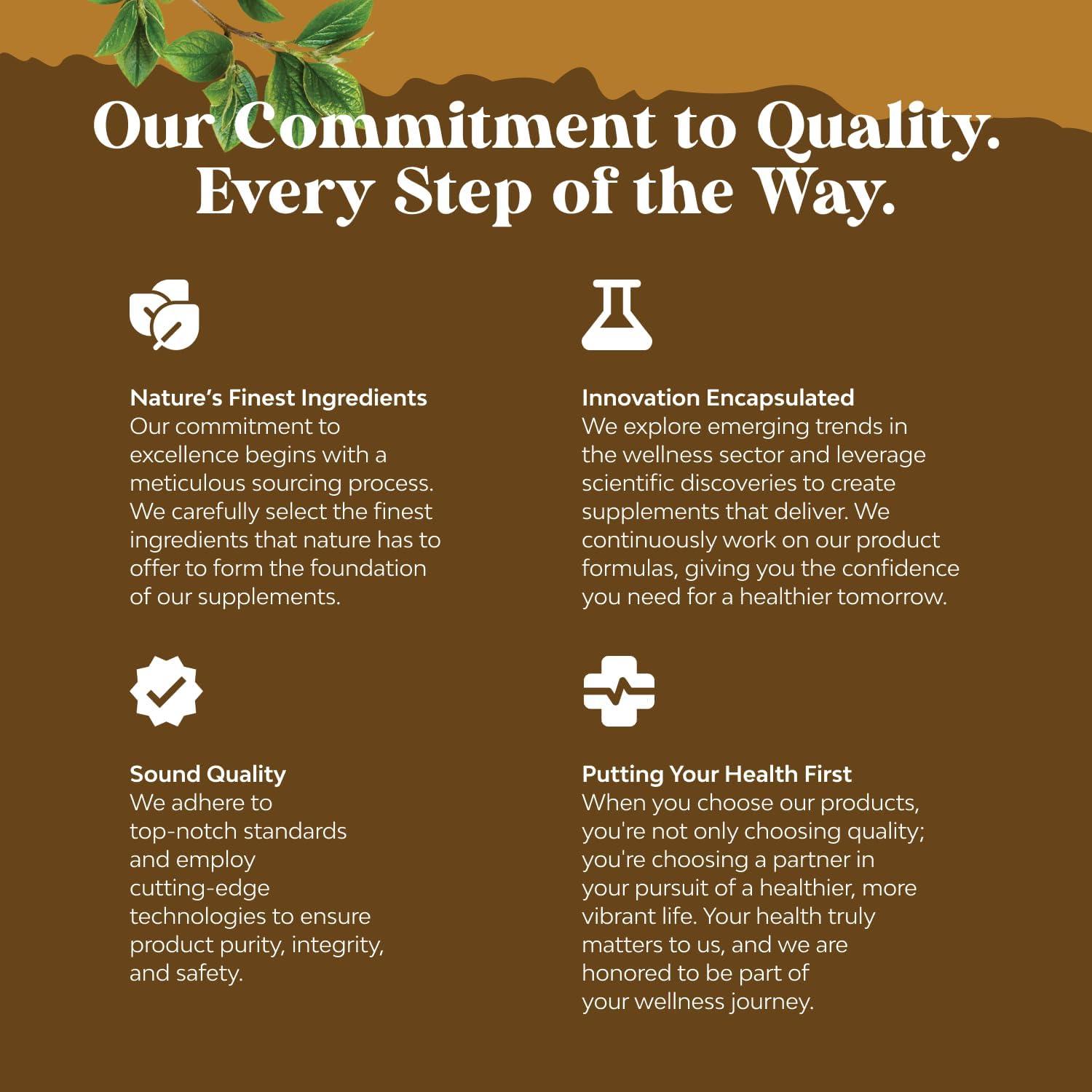 Suplemento Nootrópico Melena de León Natures Craft 60 Cápsulas