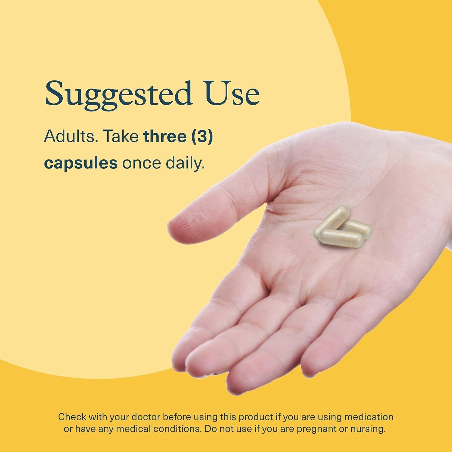 Suplemento Cerebral Youtheory Melena de León Plus 60 Cápsulas