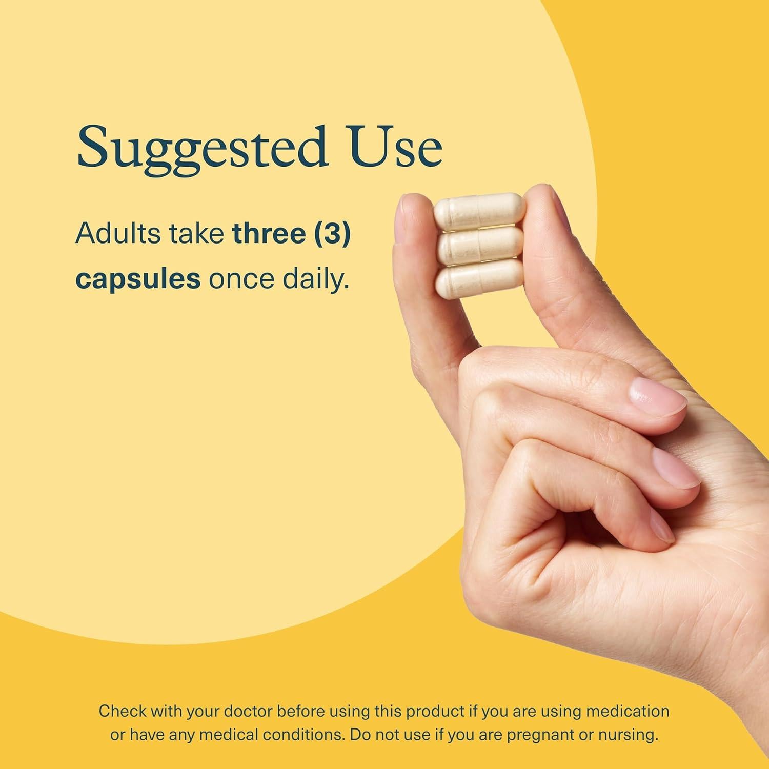 Suplemento Cerebral Youtheory Melena de León Plus 60 Cápsulas