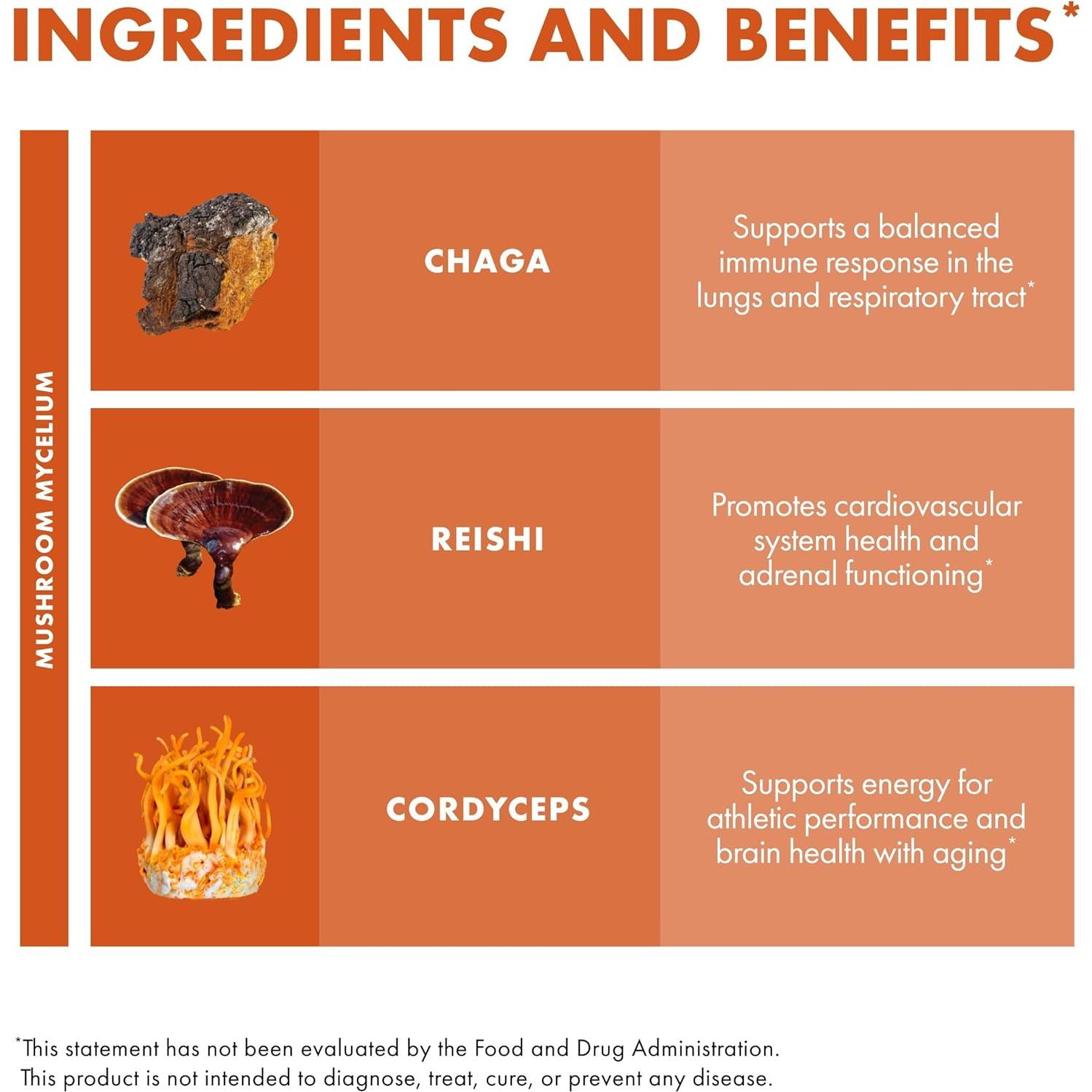 Host Defense Breathe Polvo 136 g - Suplemento Inmunológico y Respiratorio