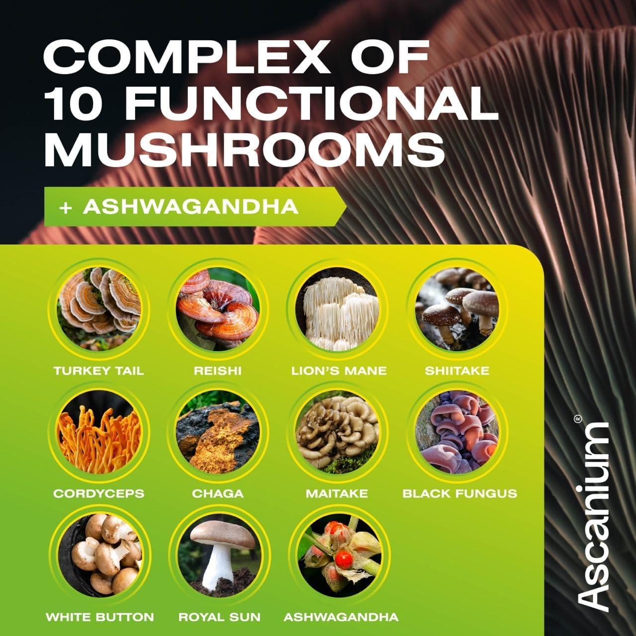 Gomitas Suplemento de Champiñón Ascanium 120 pcs - 10 Variedades