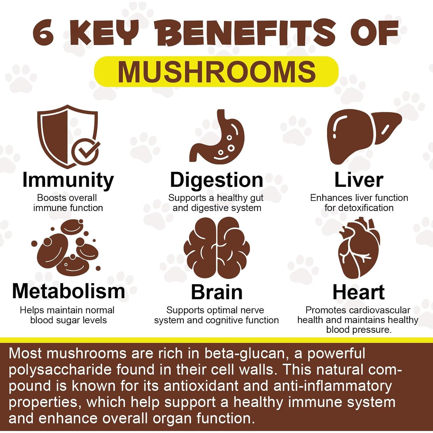Suplemento en Polvo de Champiñón FANGCUN 120g para Perros y Gatos