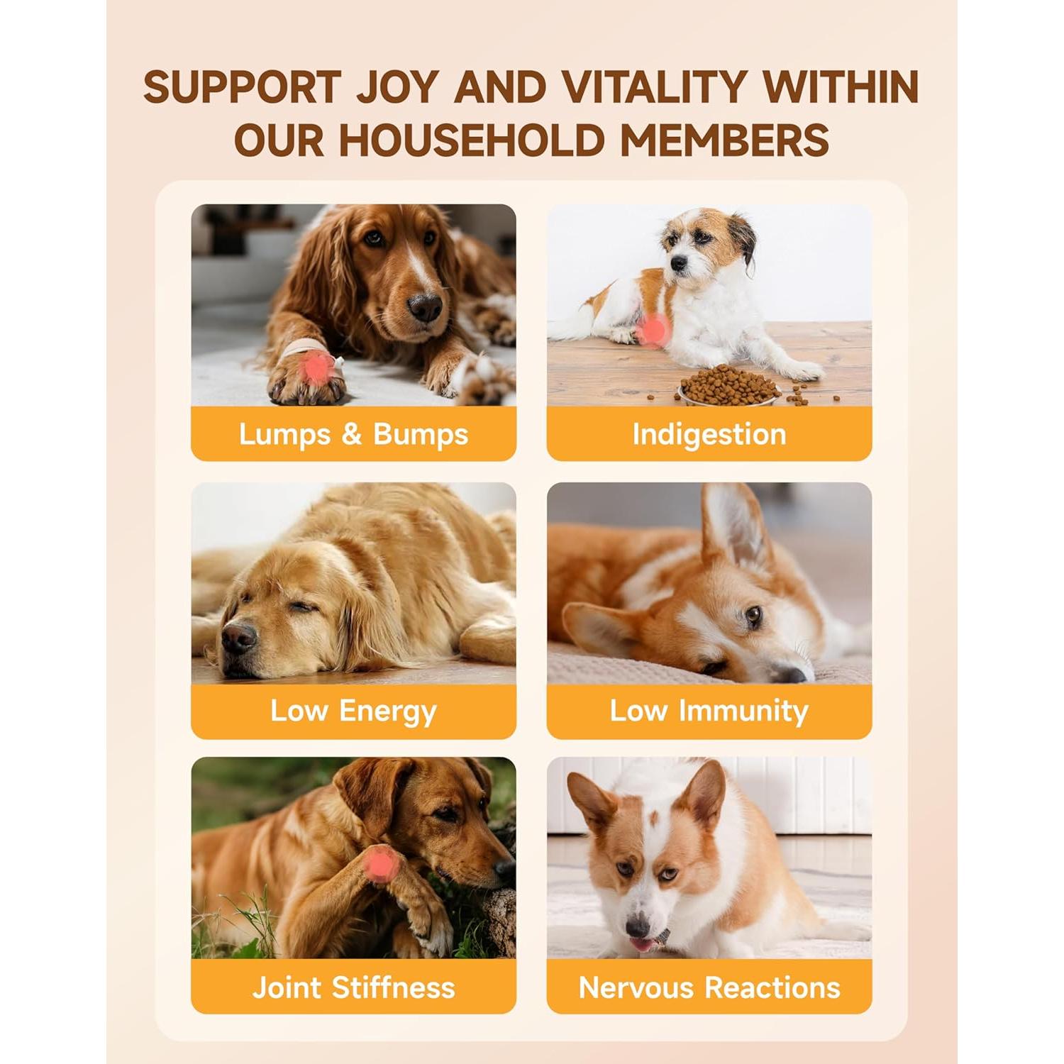 Suplemento de Hongos para Perros Eagou Diary 100g - Salud Inmunológica