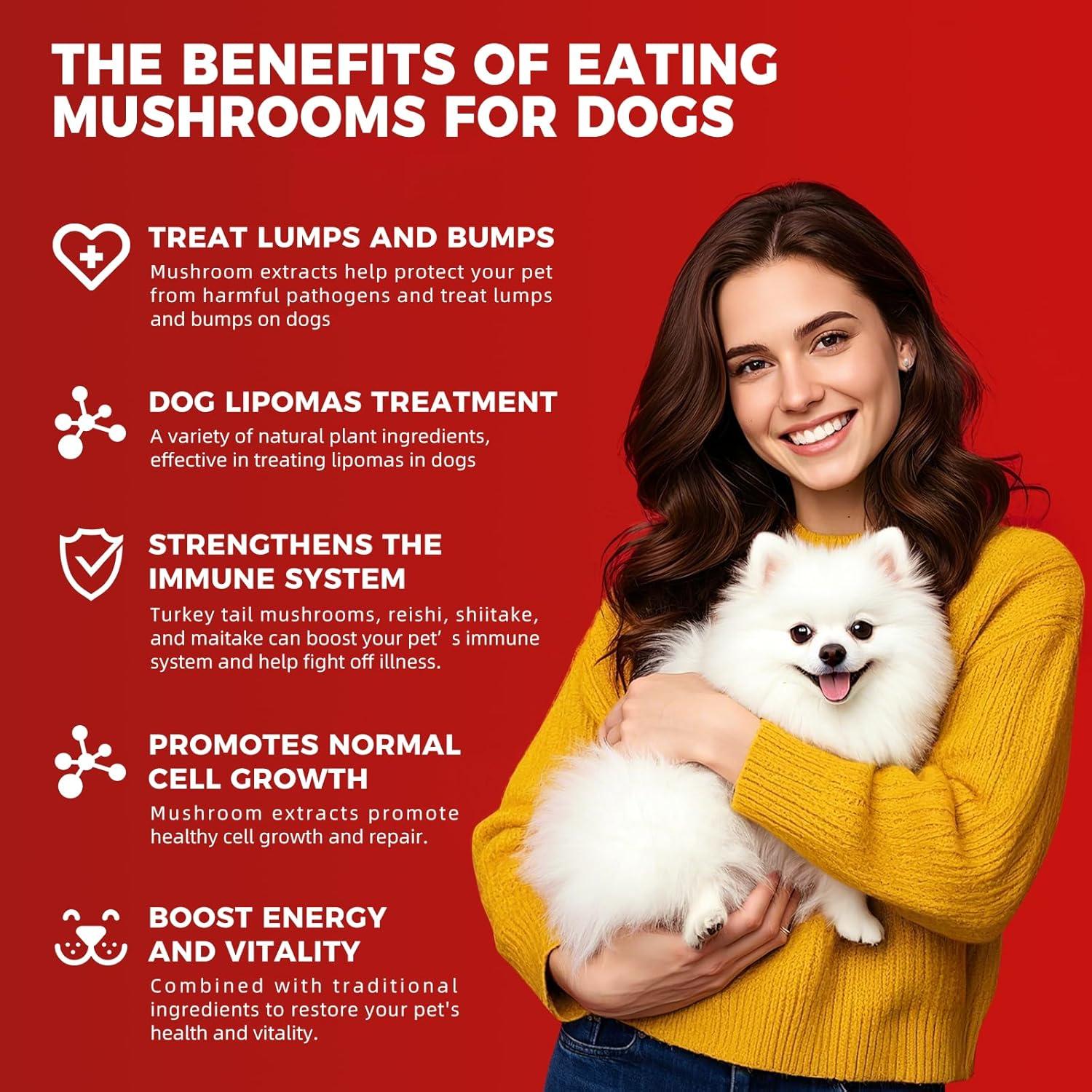 Suplemento masticable VivaElixir para lipomas en perros - 150 g