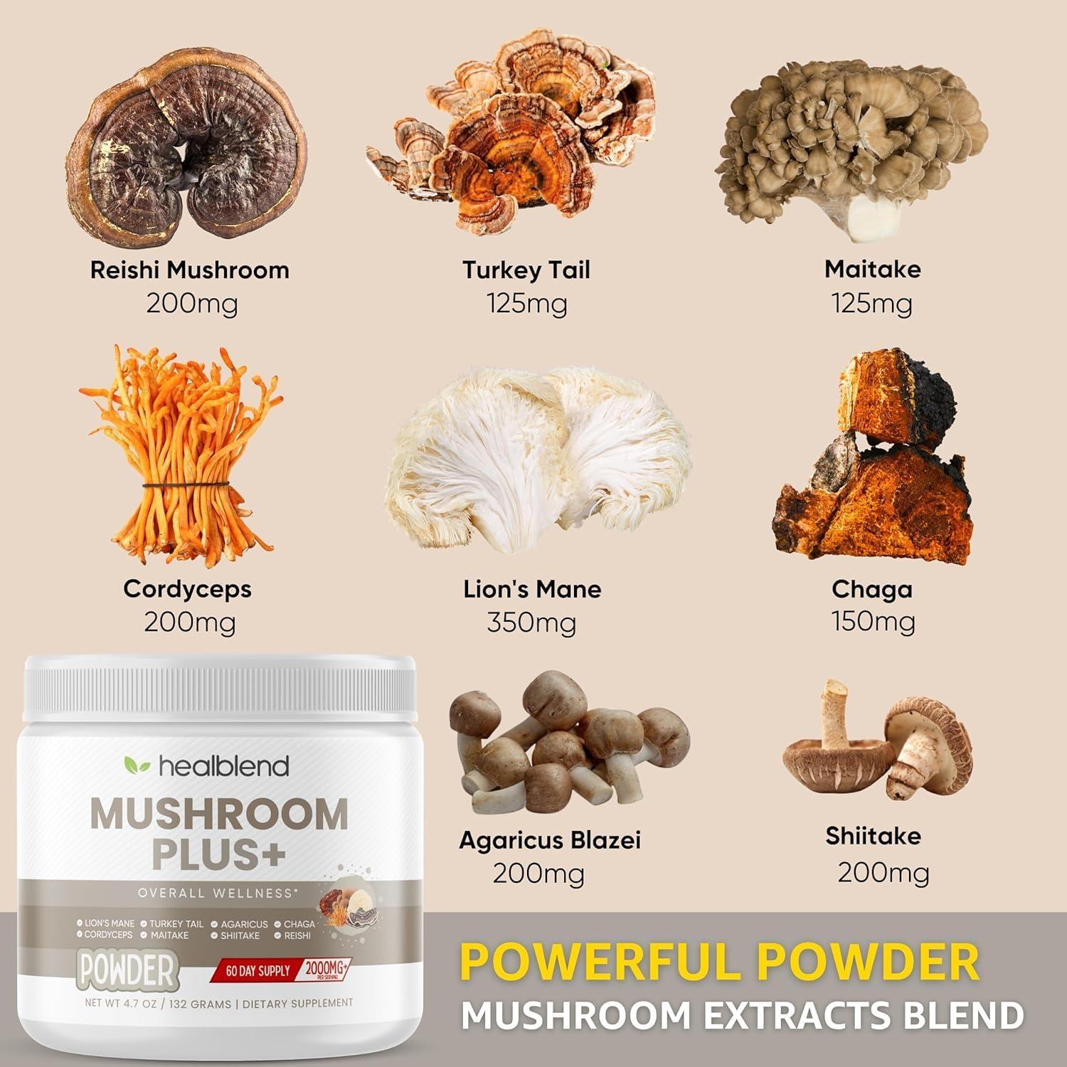 Suplemento en polvo Healblend de hongos adaptógenos 289g