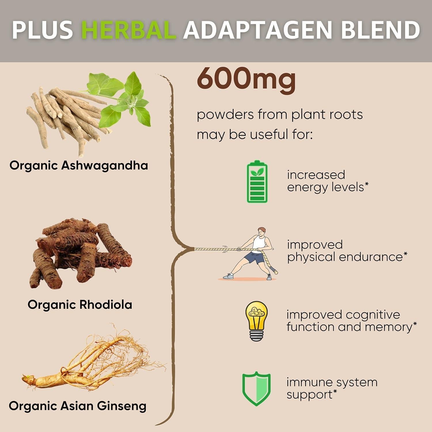 Suplemento en polvo Healblend de hongos adaptógenos 289g