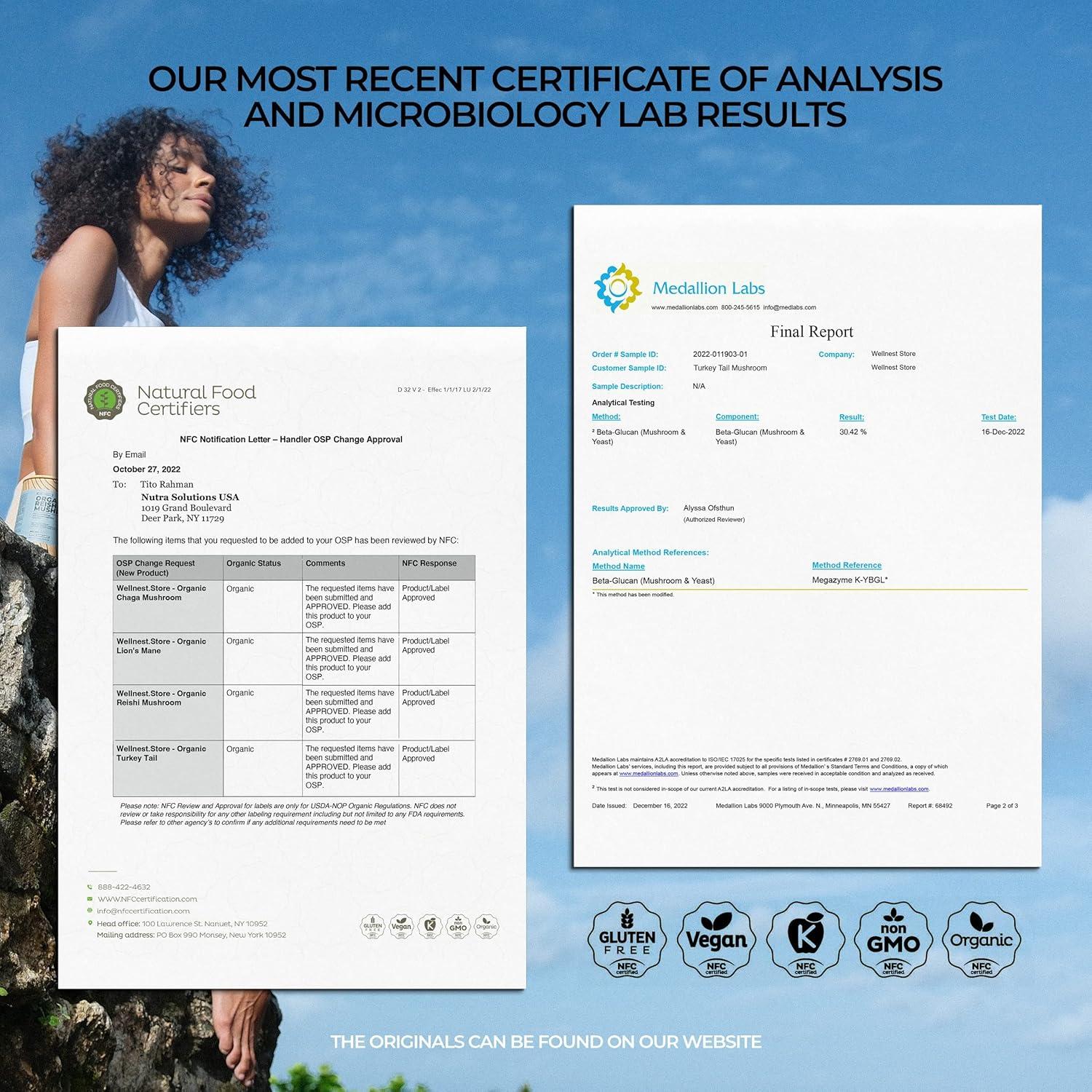 Hongo Cola de Pavo Orgánico Wellnest.Store 60 Cápsulas Vegetales