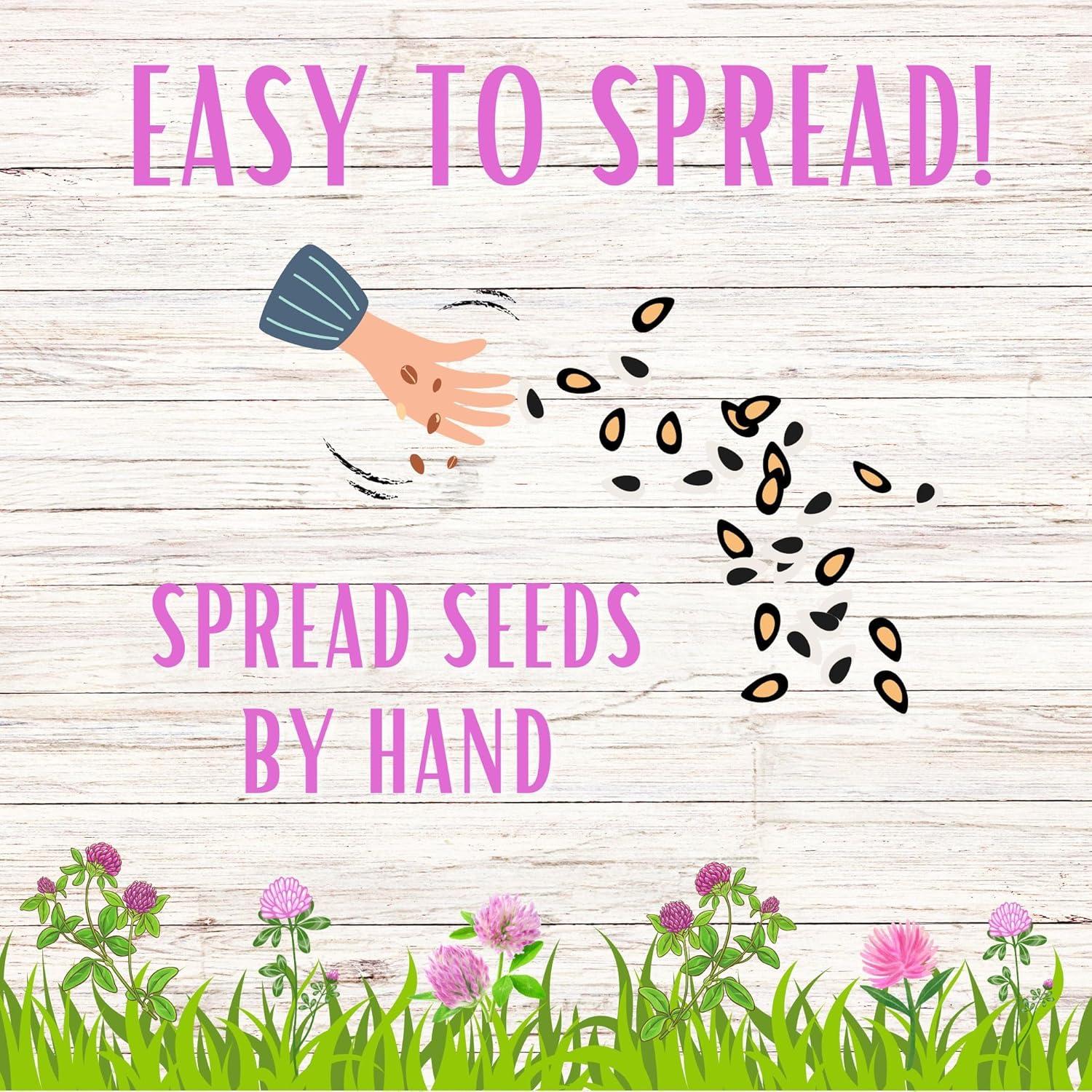 Kits de Semillas Flawn Trébol Rojo Mediano 125g Atrae Polinizadores