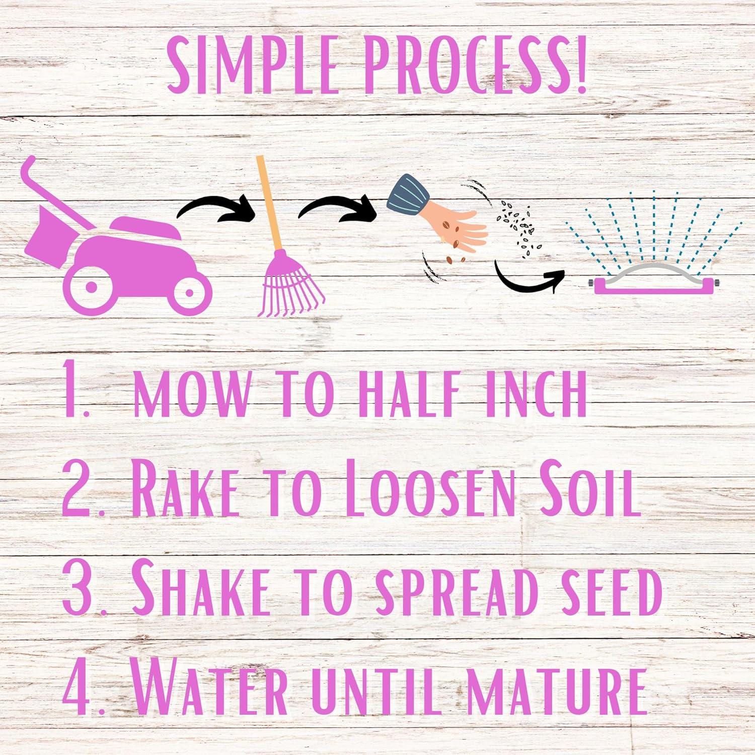 Kits de Semillas Flawn Trébol Rojo Mediano 125g Atrae Polinizadores