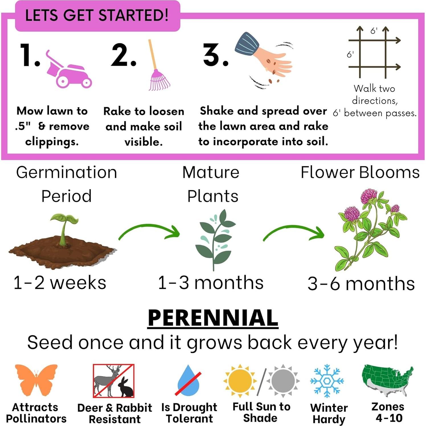 Kits de Semillas Flawn Trébol Rojo Mediano 125g Atrae Polinizadores