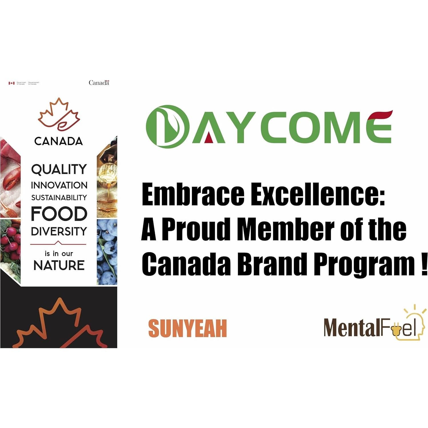 Aceite de Linaza Orgánico Sunyeah 500ml - Exprimido en Frío, Sin Refinar