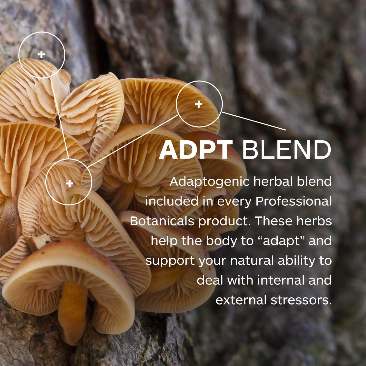 Suplemento Natural para la Atención y Calma Professional Botanicals - 60 Cápsulas Veganas