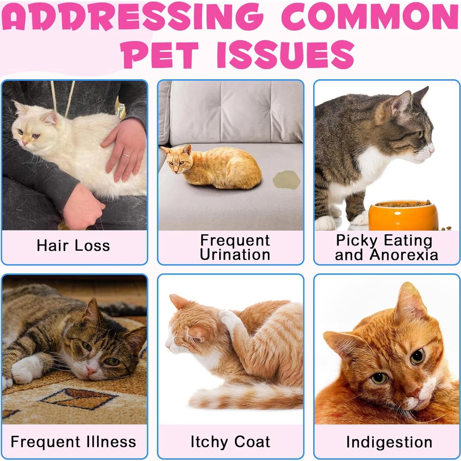 Colágeno Líquido para Gatos Jinqi 60ml con Biotina y Jengibre