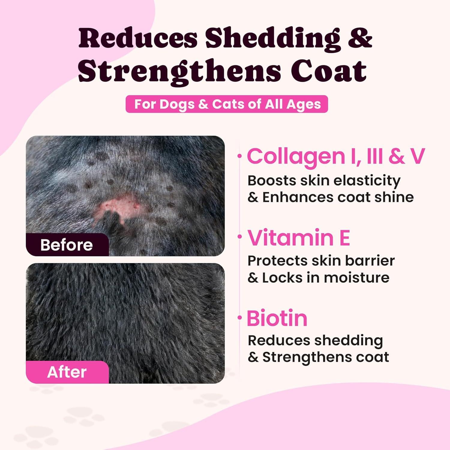 Colágeno Líquido BuddyCheer para Perros y Gatos - 120ml