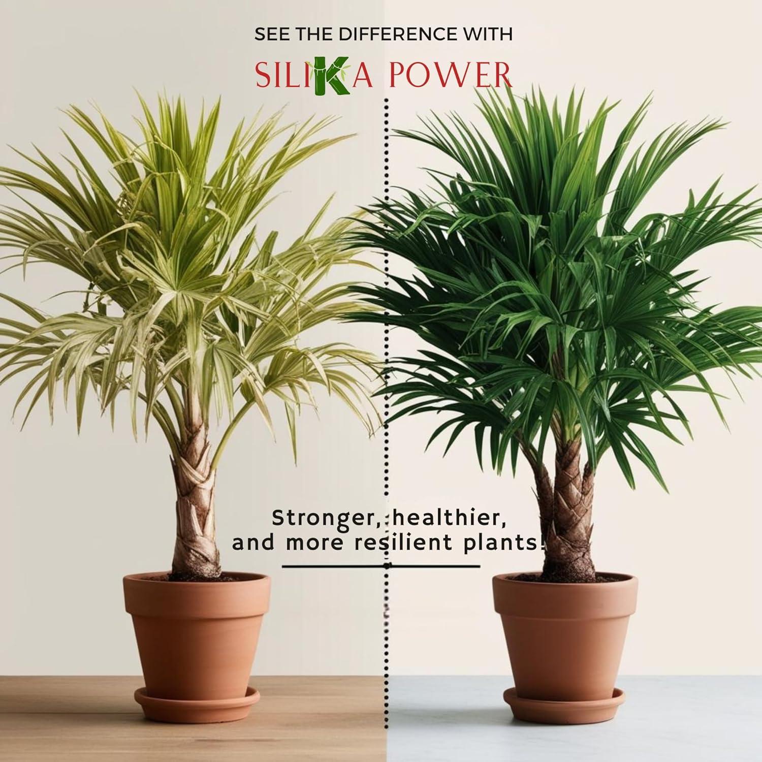 SiliKa Power Fertilizante de Silicio Líquido 236.6 ml