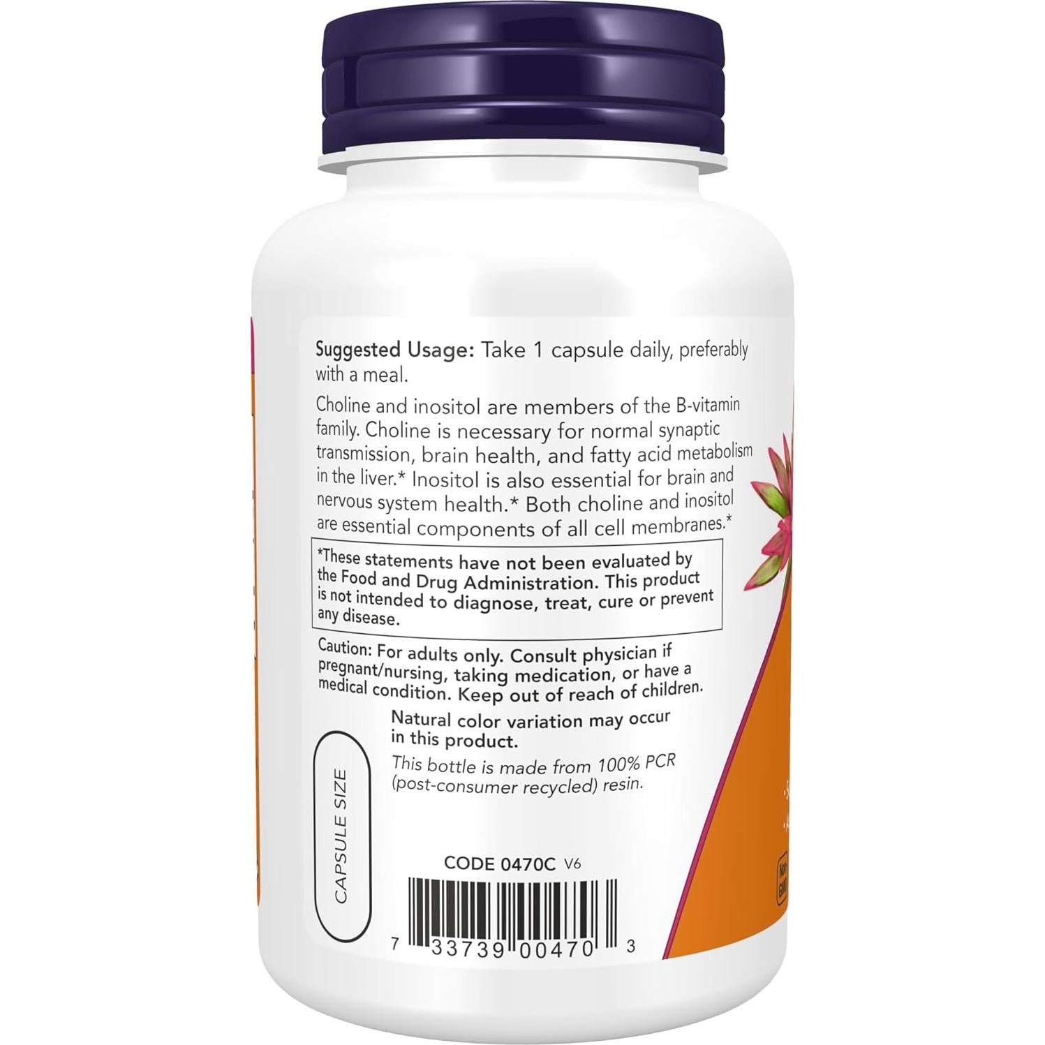NOW Suplementos Colina e Inositol 500 mg 100 Cápsulas