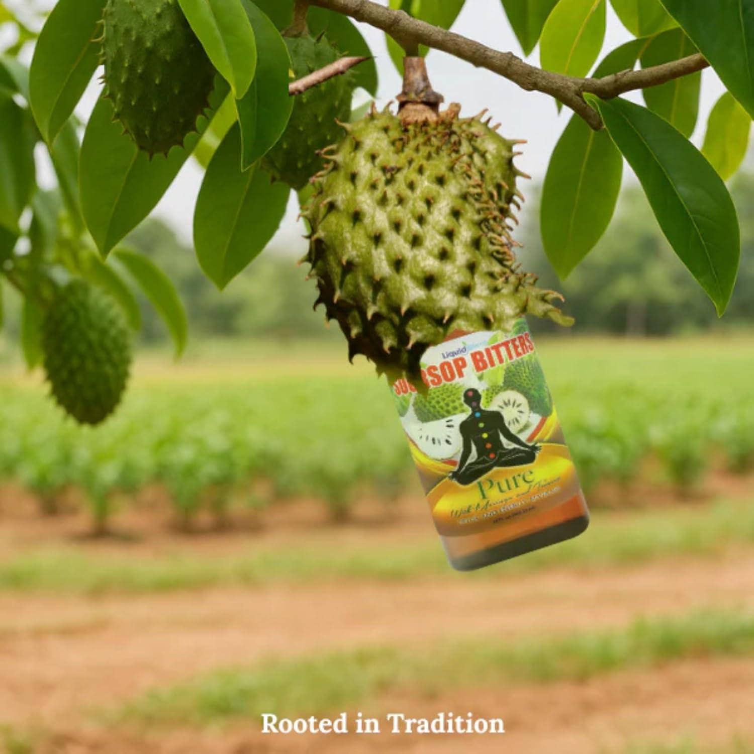 Bitter de Soursop Liquid Blenz 473 ml con Moringa y Cúrcuma