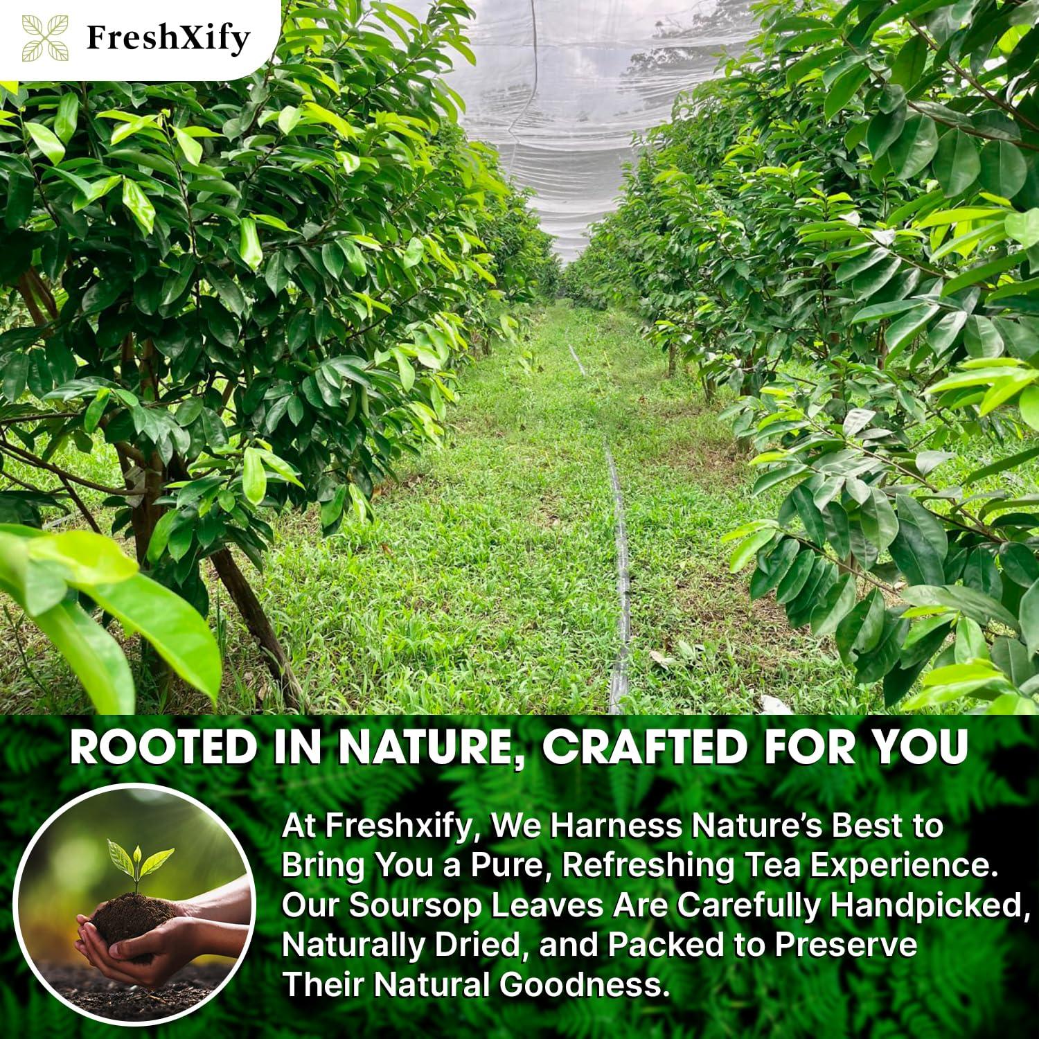 Té de Guanábana FreshXify – 40 Bolsitas 100% Naturales Sin Cafeína