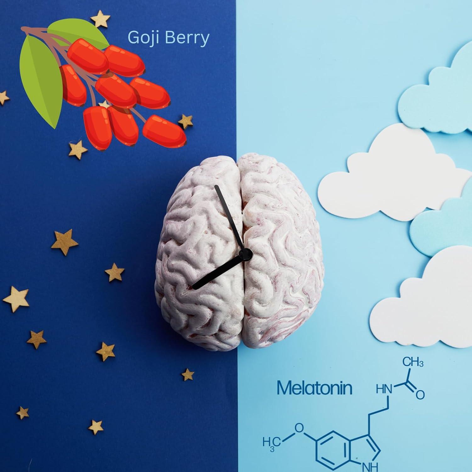Suplemento Nocturno Fast Asleep 911 Phytage Labs 60 Cápsulas