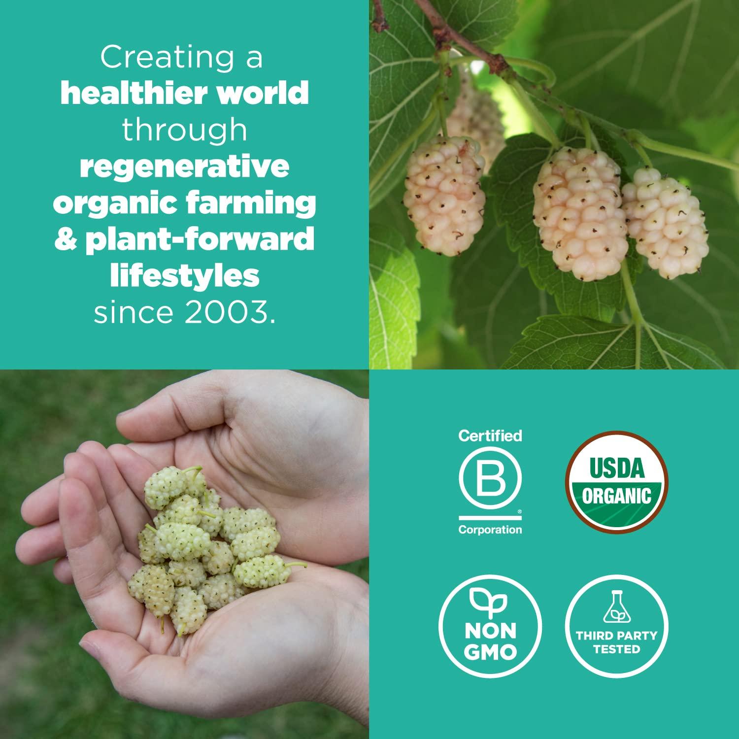 Moras Secas Orgánicas Navitas 226.8g - Sin Azúcar Añadido