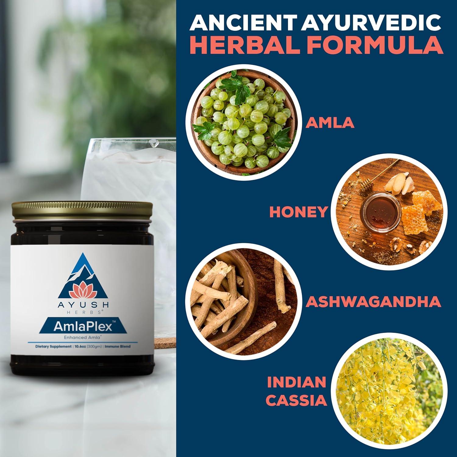 Mermelada Ayurvédica Ayush Herbs AmlaPlex 300g - Soporte Inmunológico