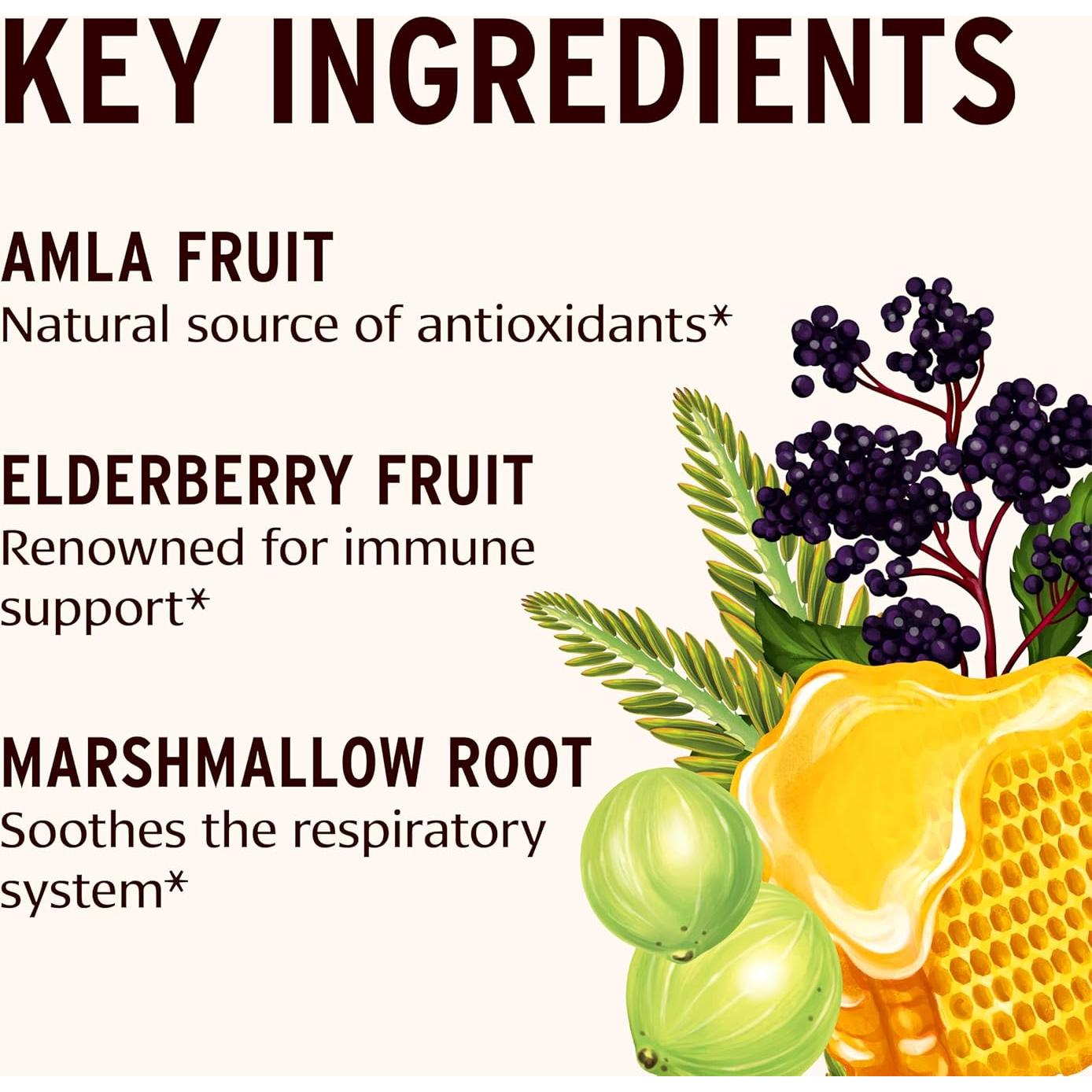 Miel de Saúco Orgánica Banyan Botanicals 234 g - Apoyo Inmunológico