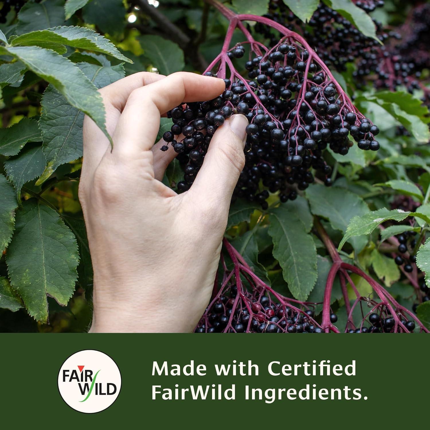 Miel de Saúco Orgánica Banyan Botanicals 234 g - Apoyo Inmunológico