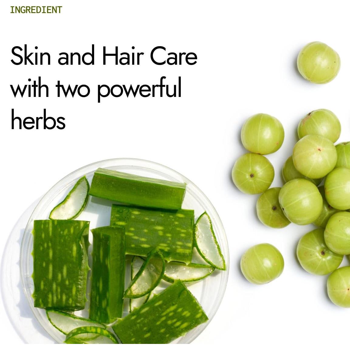 Jugo de Aloe Vera + Amla Kapiva 1L - Prensado en Frío, Saludable