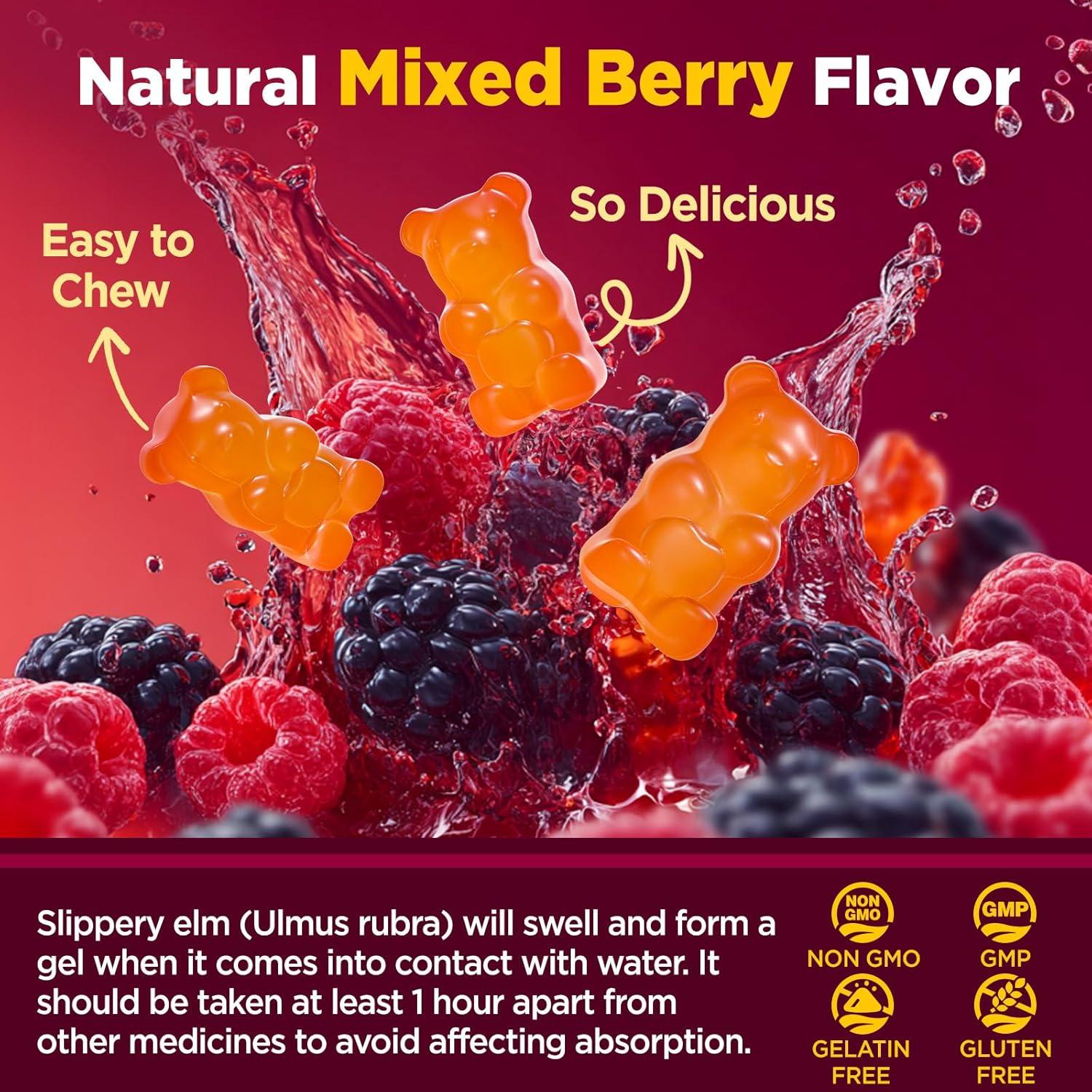 Gomitas de Olmo Resbaladizo NATISLAND 60 Unidades Veganas