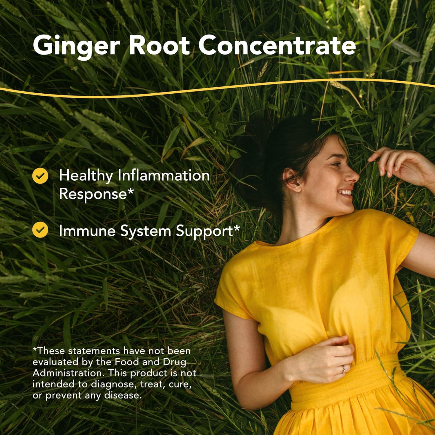 Suplemento Antiinflamatorio Hierba y Especias 90 Cápsulas