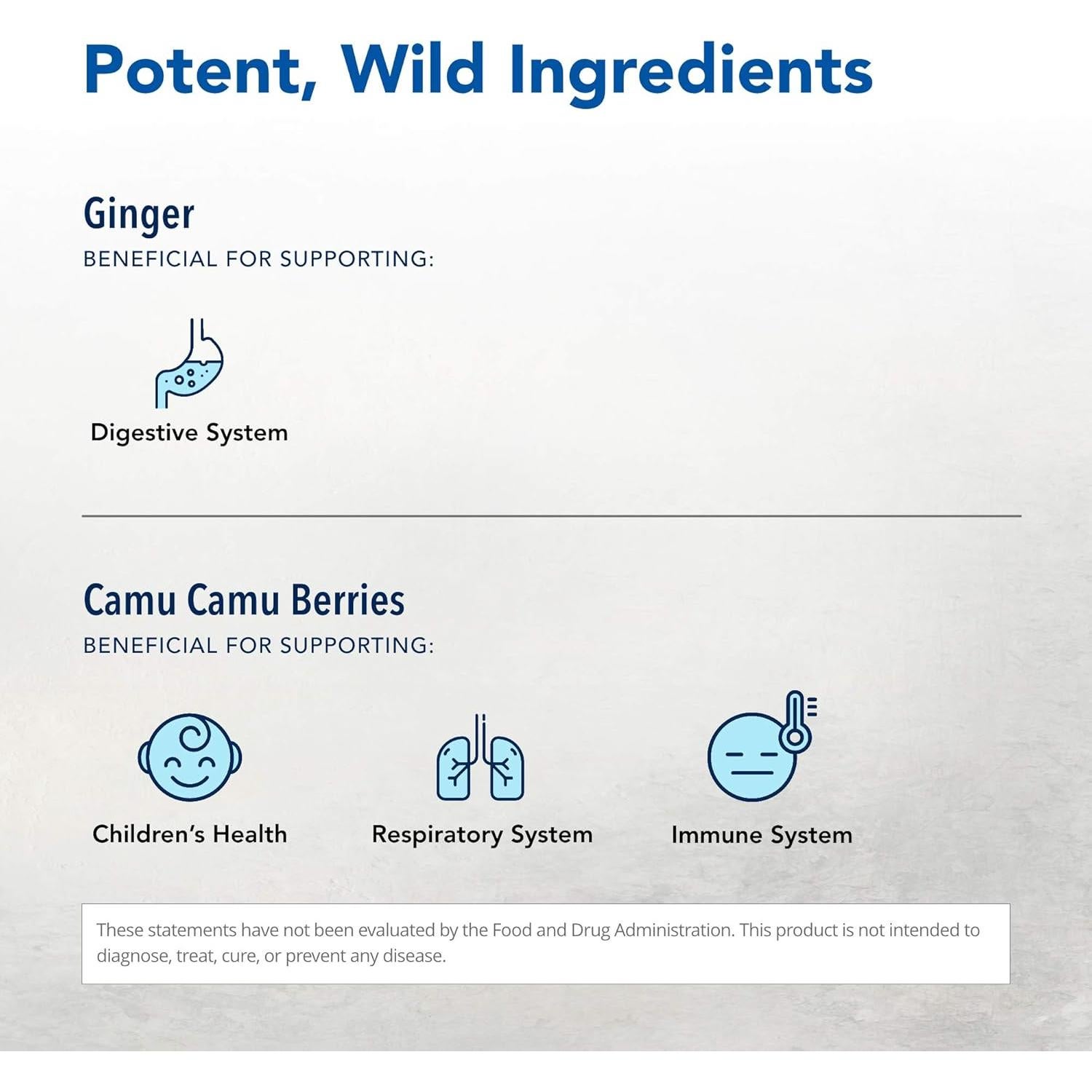 Suplemento Antiinflamatorio Hierba y Especias 90 Cápsulas