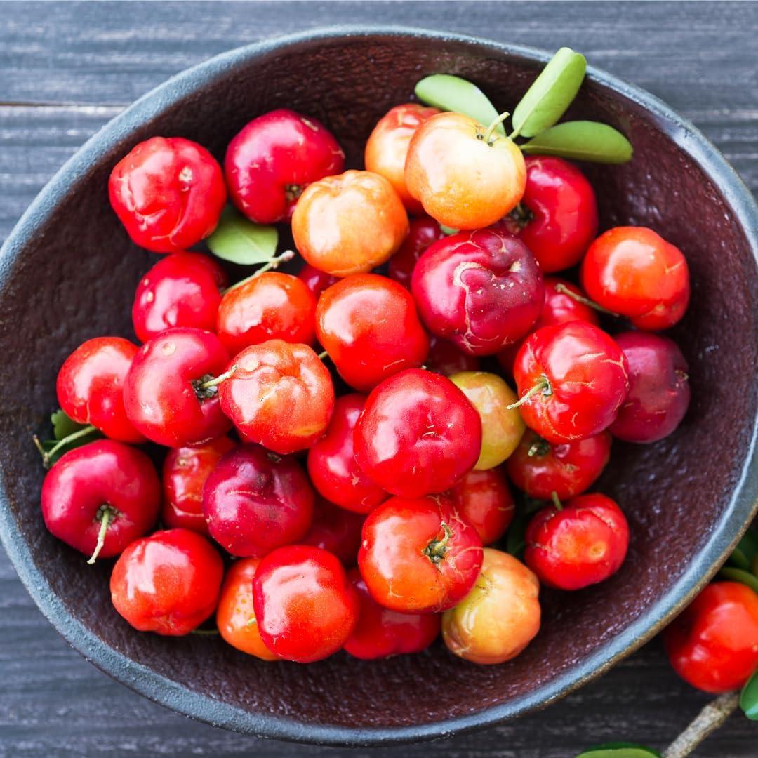 Cápsulas de Cereza Acerola Earthborn Elements 200 Unidades