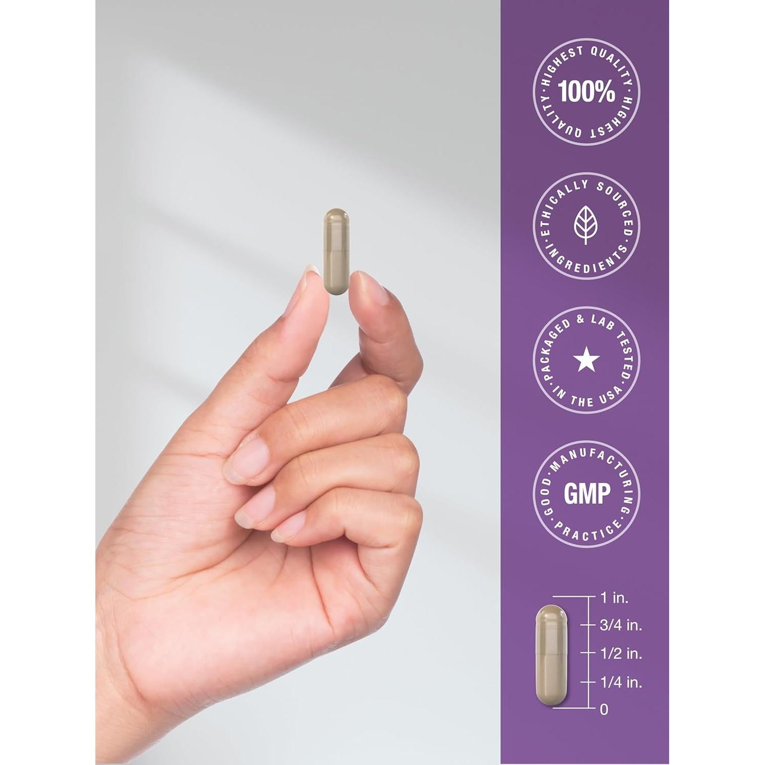 Suplemento de Resveratrol Horbaach 600 mg 120 Cápsulas Vegetales