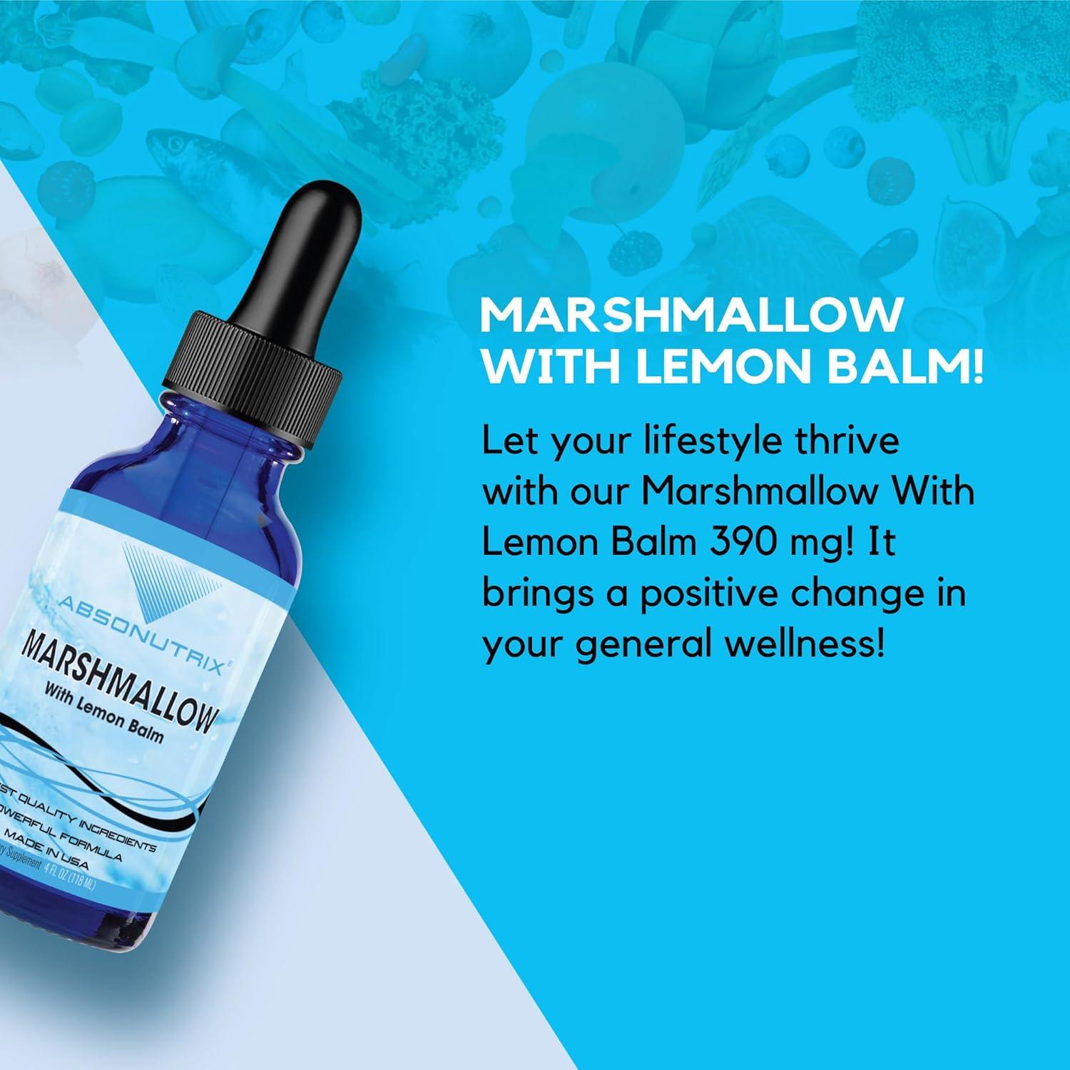 Extracto Líquido de Malvavisco con Melisa Absonutrix 390 mg