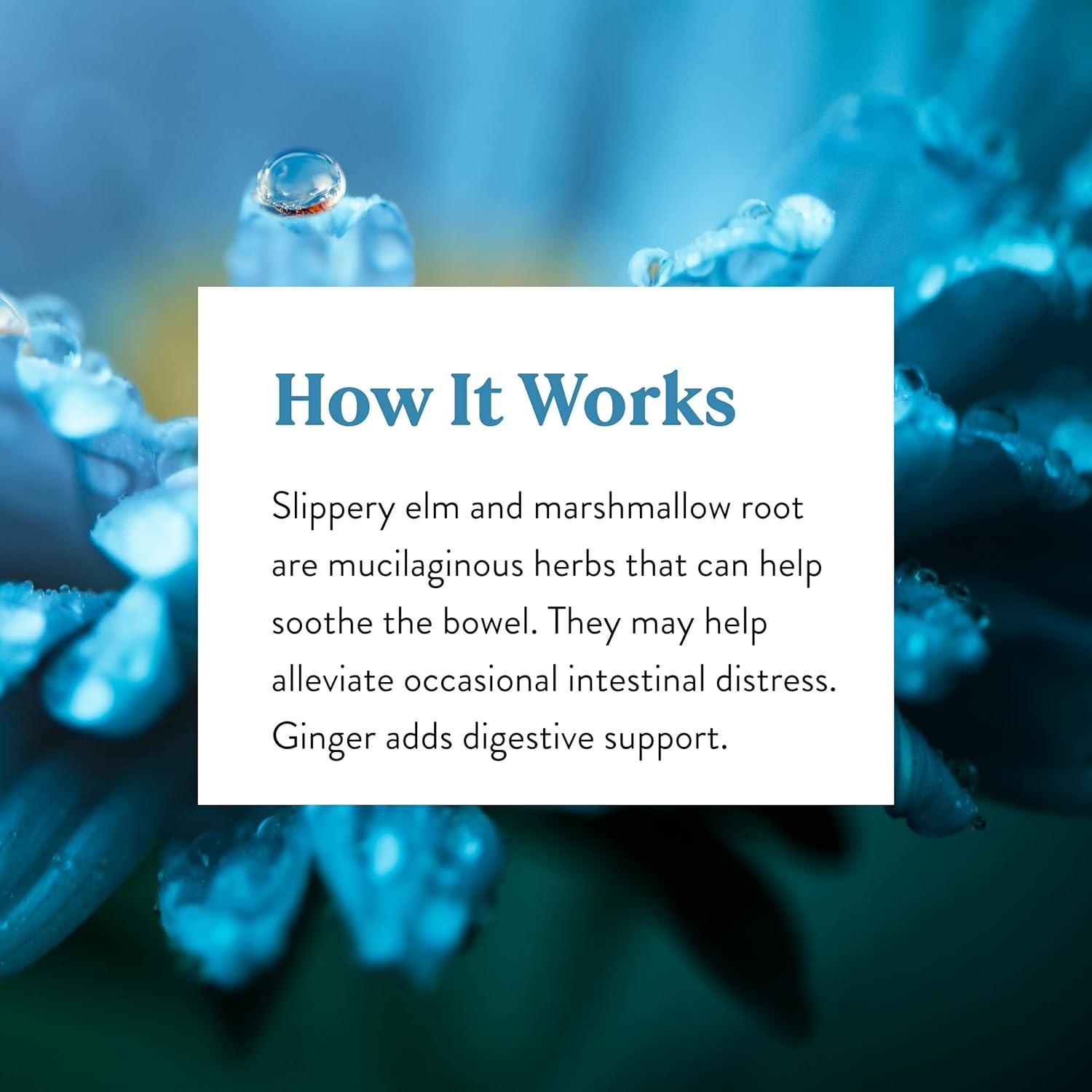 Cápsulas Digestivas Nature's Sunshine CLT-X 100 Unidades